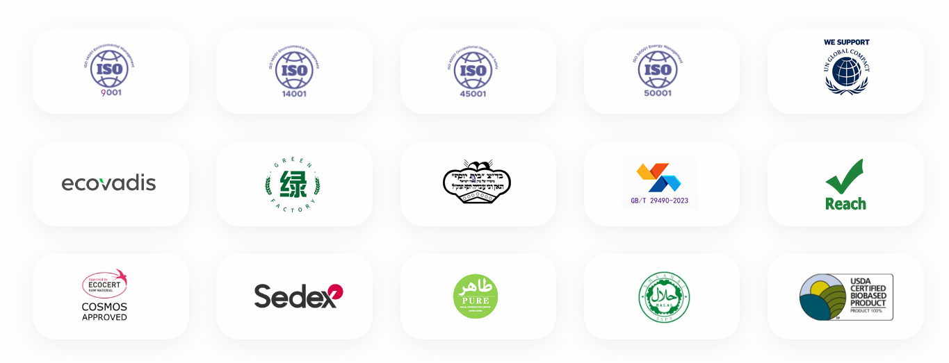 Shandong Yino Our Certifications